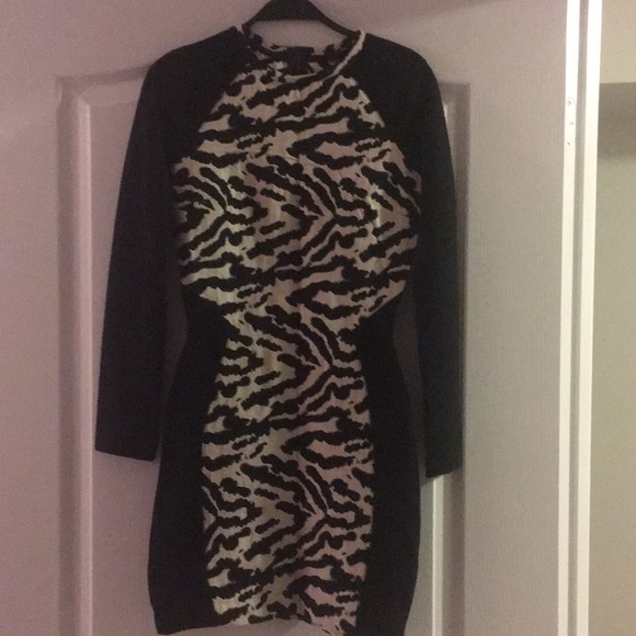 Zebra print long sleeve dress - Picture 1 of 5